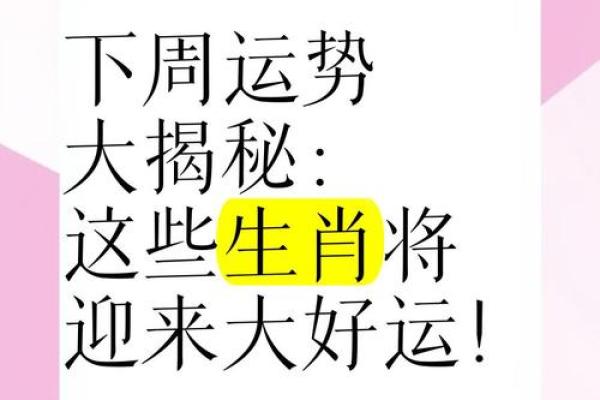 生肖运势全解析：哪些生肖迎来好运