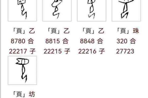 夏字五行属性解析及其对命理的影响