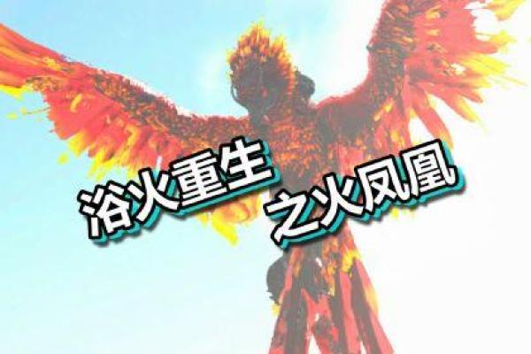 方舟的象征：保护与重生