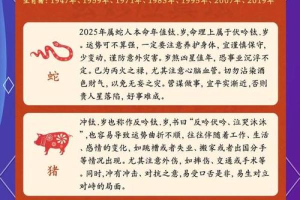 属狗人的财运走向：如何抓住机遇