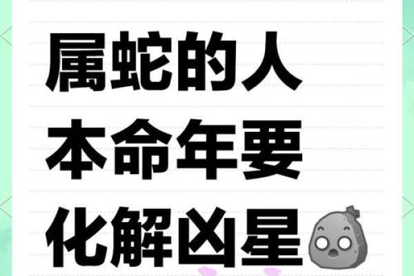属蛇人本命年如何避免情感波动
