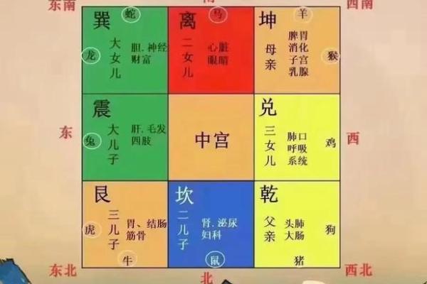 你的房间缺什么元素？五行风水帮你找到答案