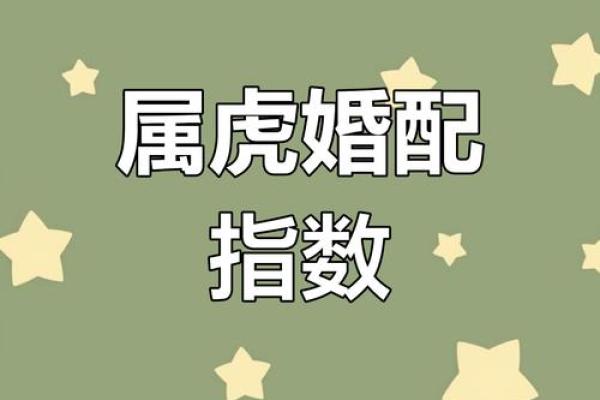 年虎人感情运势与注意事项