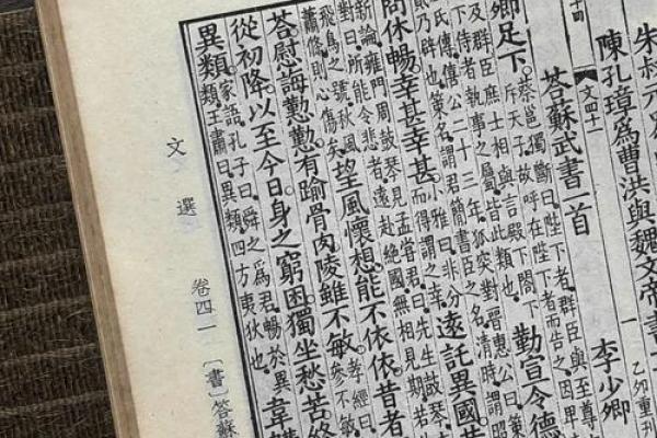文命武命的深度解析与人生启示