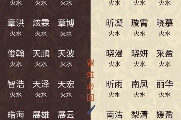 带火的男孩名字，寓意热情与力量