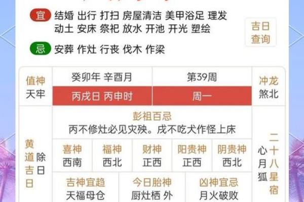 人每月运程全面解析与运势指南