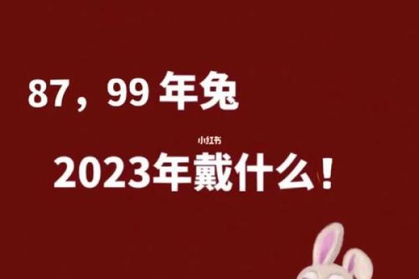 本命年属兔人如何面对突如其来的变化