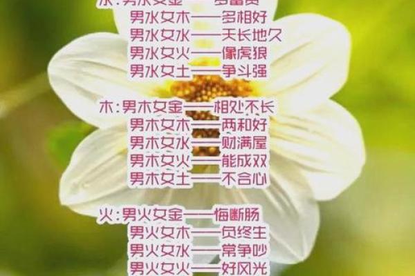 五行婚姻配对表解析：如何根据五行选择合适的伴侣