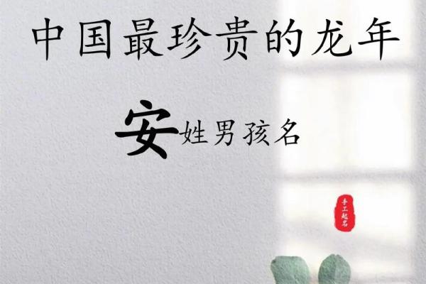 如何根据安姓宝宝的出生日期选一个合适的名字