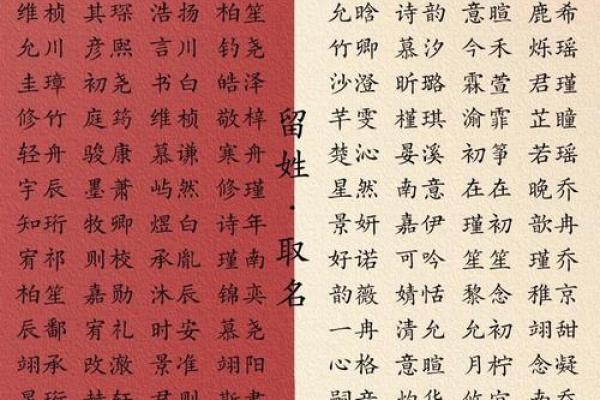 出生宝宝的名字选择指南