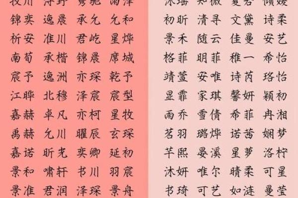 男宝宝名字免费推荐：寓意深远的经典选项