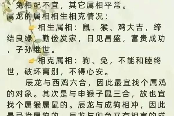 属龙和属马的缘分究竟如何