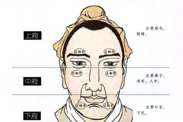 招财风水最佳眉型解析，助你财运亨通