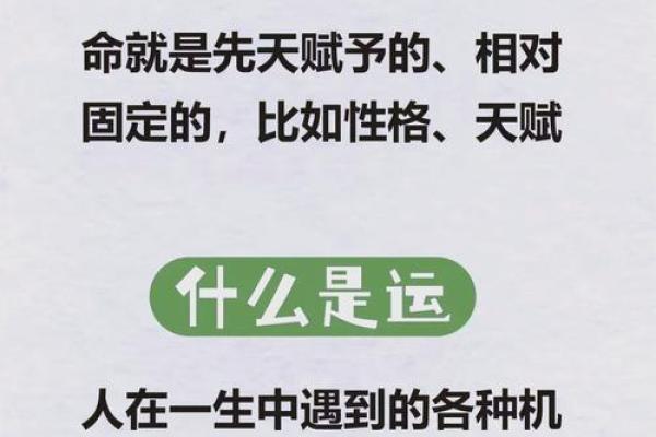 八字精准度曝光，命运的答案你敢信吗？