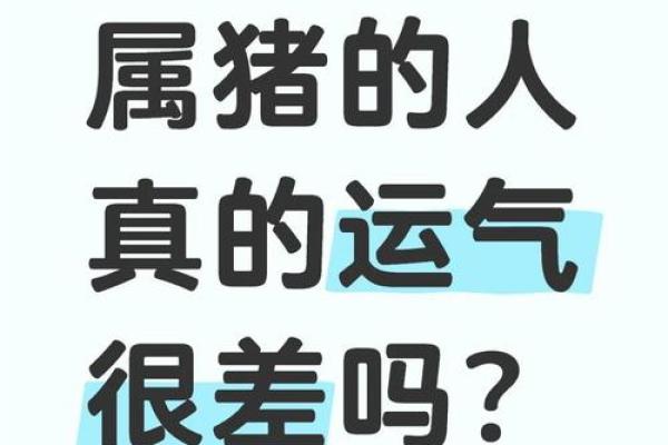 猪年运程分析：事业与财运的双重挑战