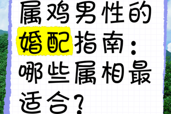 属虎男与属鸡女的相处之道与和谐秘诀