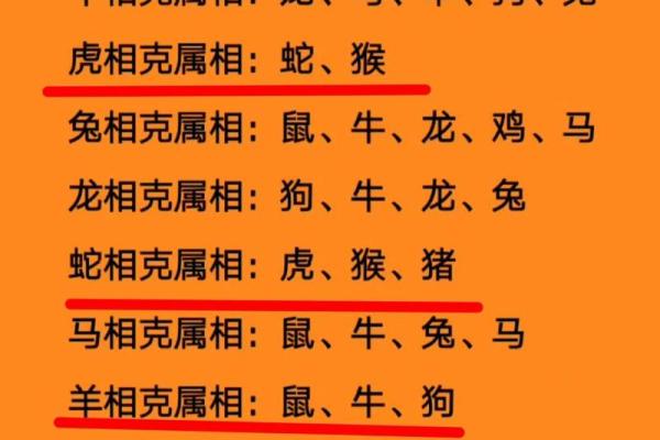属虎男与属兔女的性格碰撞与和谐