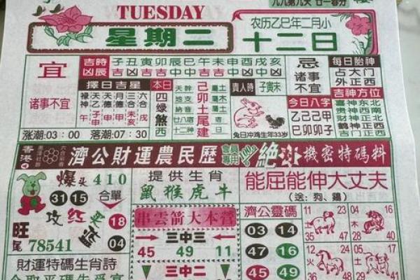 生肖运程指南：每个生肖的财富与健康运势