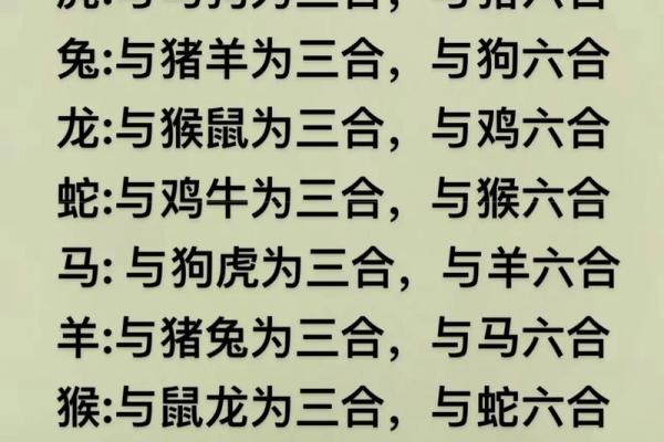 蛇与猪相配？揭示生肖配对的深层含义