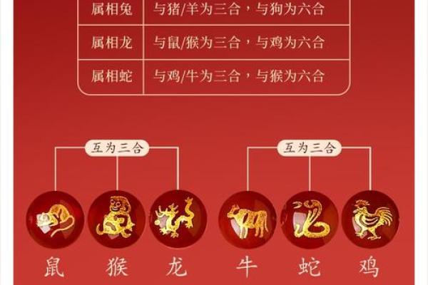 蛇与猪相配？揭示生肖配对的深层含义