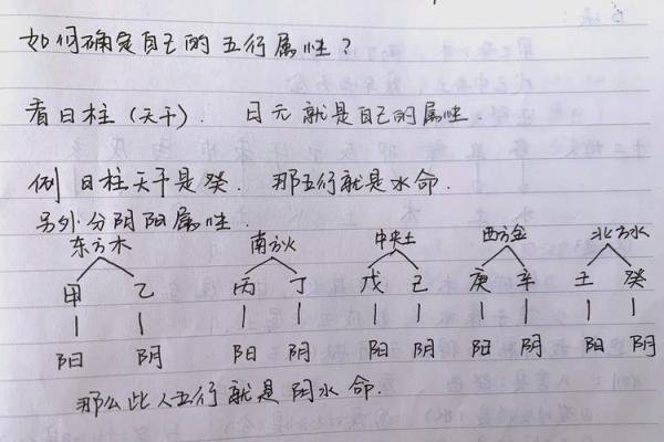 女命八字解析：如何通过五行提升运势？