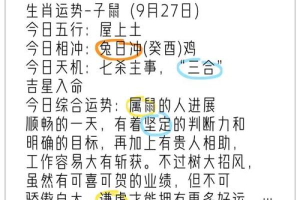 鼠年运程解析：幸运与挑战并存