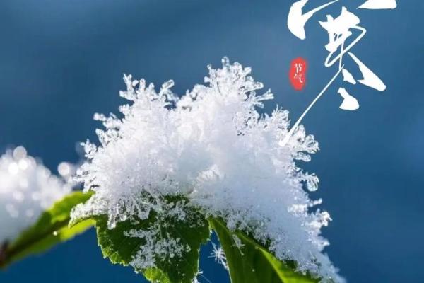 农历二月节气：大寒过后，春天的第一波气息来临