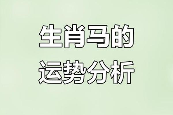 运程解析：不同生肖的命运走向