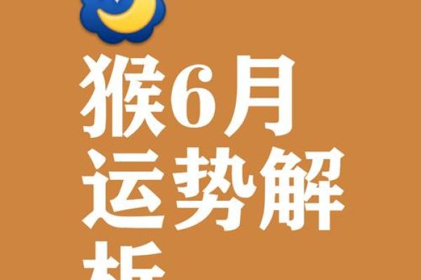 属猴人的运程预测：事业发展与感情机遇
