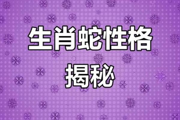 探讨属虎与属蛇的性格互补与冲突