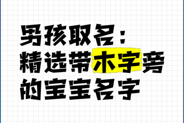 独特而有意义的木字旁男孩名字解析