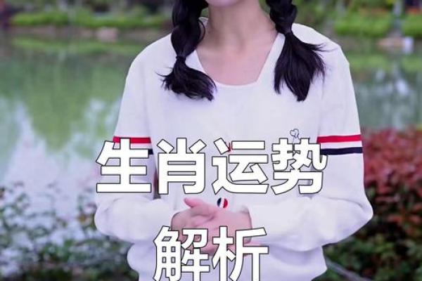 本命年鼠女如何做出智慧决策