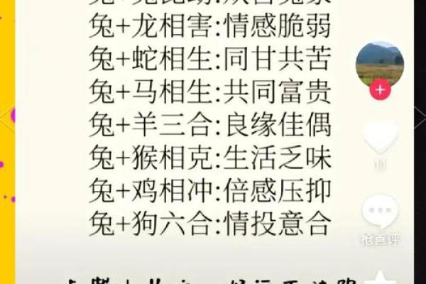 属兔男和属猪女婚姻匹配度解析