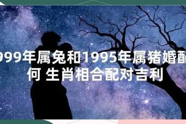 属兔男和属猪女婚姻匹配度解析