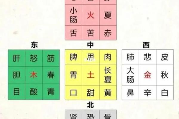 未五行属土的深层解析与应用