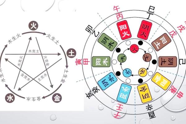 未五行属土的深层解析与应用