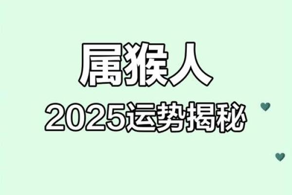 猴人运势全盘分析：工作、财运与感情的波动