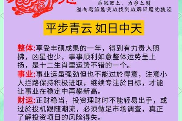 属兔人本命年中如何应对职场竞争