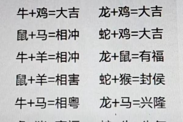 牛兔婚配能否幸福？解析生肖组合的婚姻观