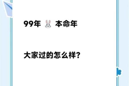 属兔人本命年中如何应对职场竞争