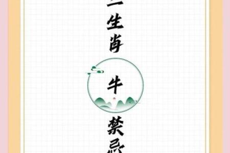 属牛人必知的招财风水禁忌与布局