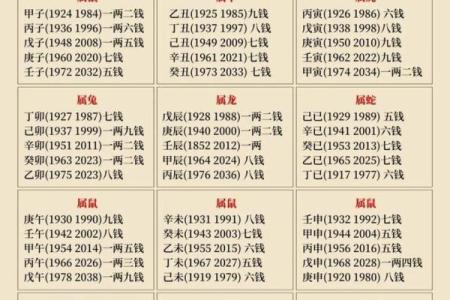 自己是什么命？从命理角度解析人生走向