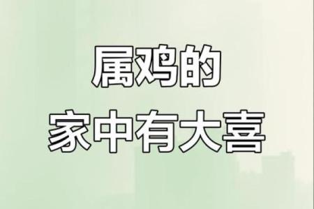 属鸡女和属马男的相配指数有多高