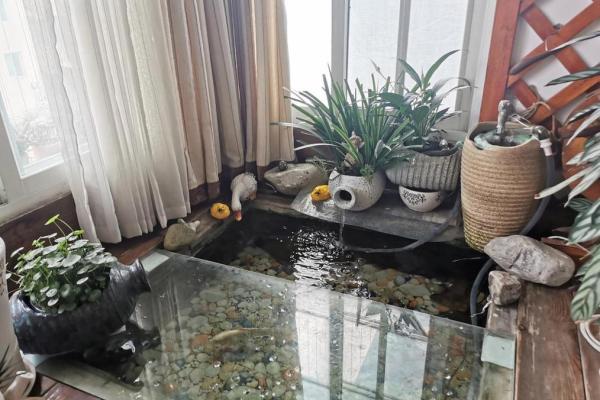 水池风水布局对家居健康与财富的影响