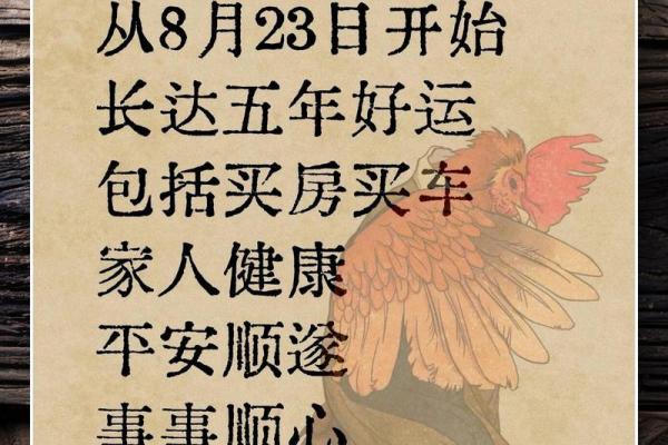 鸡年龙运程解析：如何把握好运