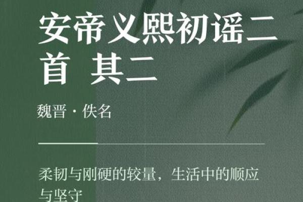 硬命的定义与背后深意解析
