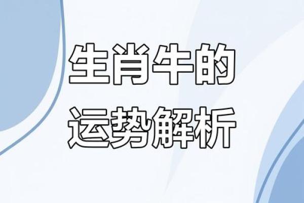 牛人运势全景解析：如何掌握关键机会