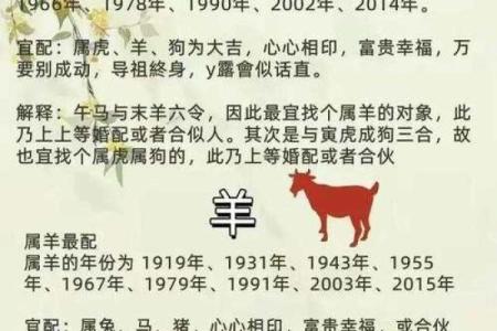 生肖马和羊合适做伴侣吗？婚姻生活揭秘