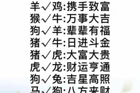 鸡年龙运程解析：如何把握好运