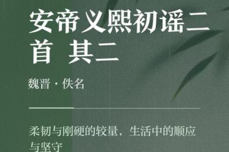 硬命的定义与背后深意解析